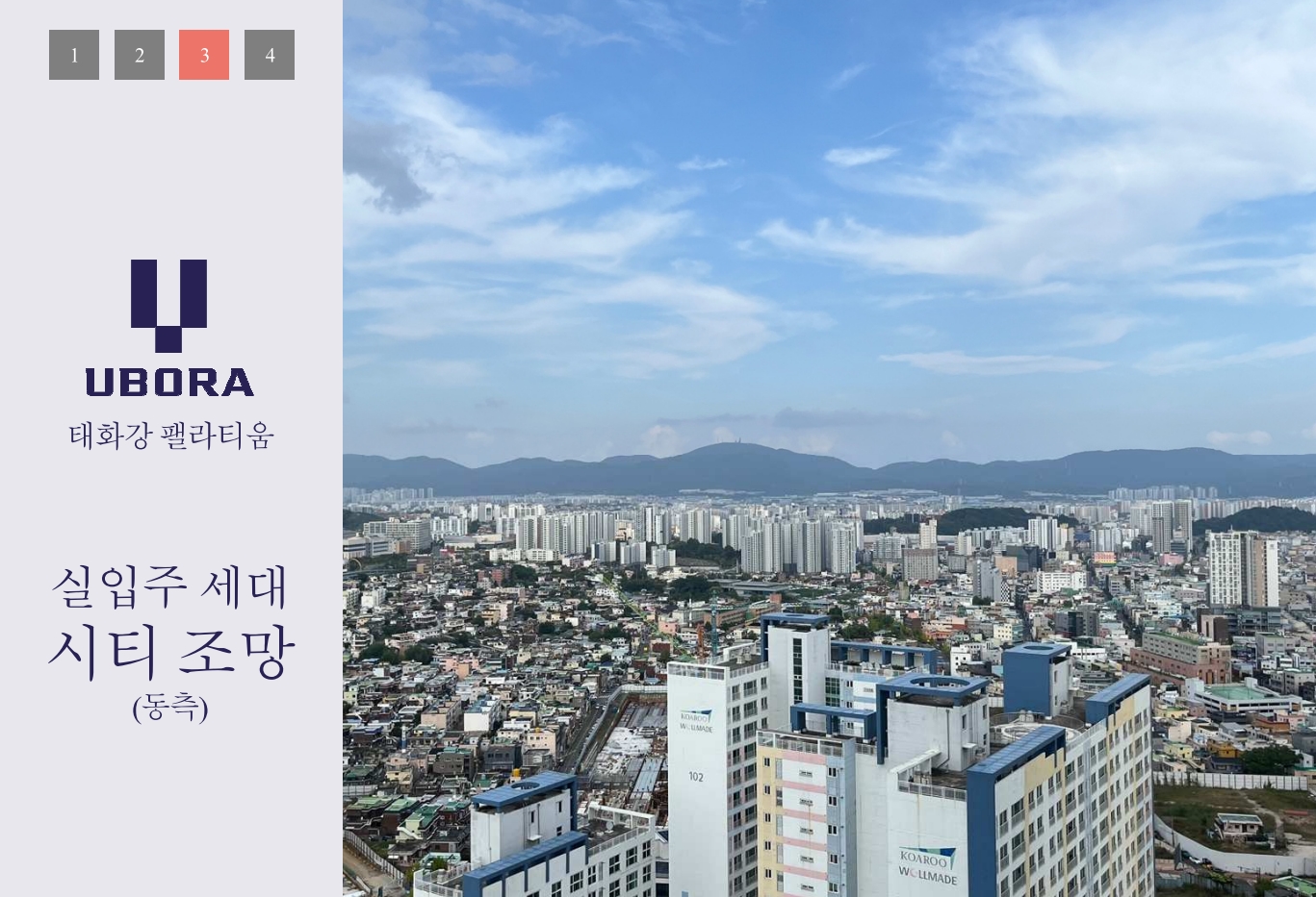 스크린샷_21-12-2024_161328_.jpeg